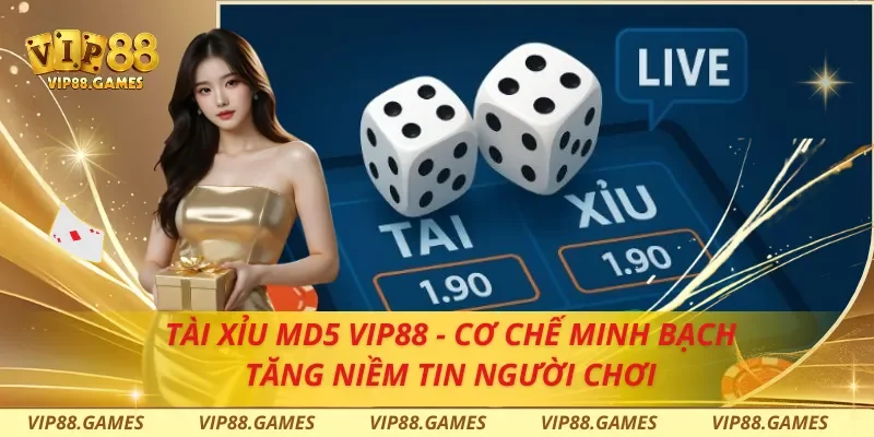 Tài Xỉu MD5 Vip88 - Cơ Chế Minh Bạch Tăng Niềm Tin Người Chơi